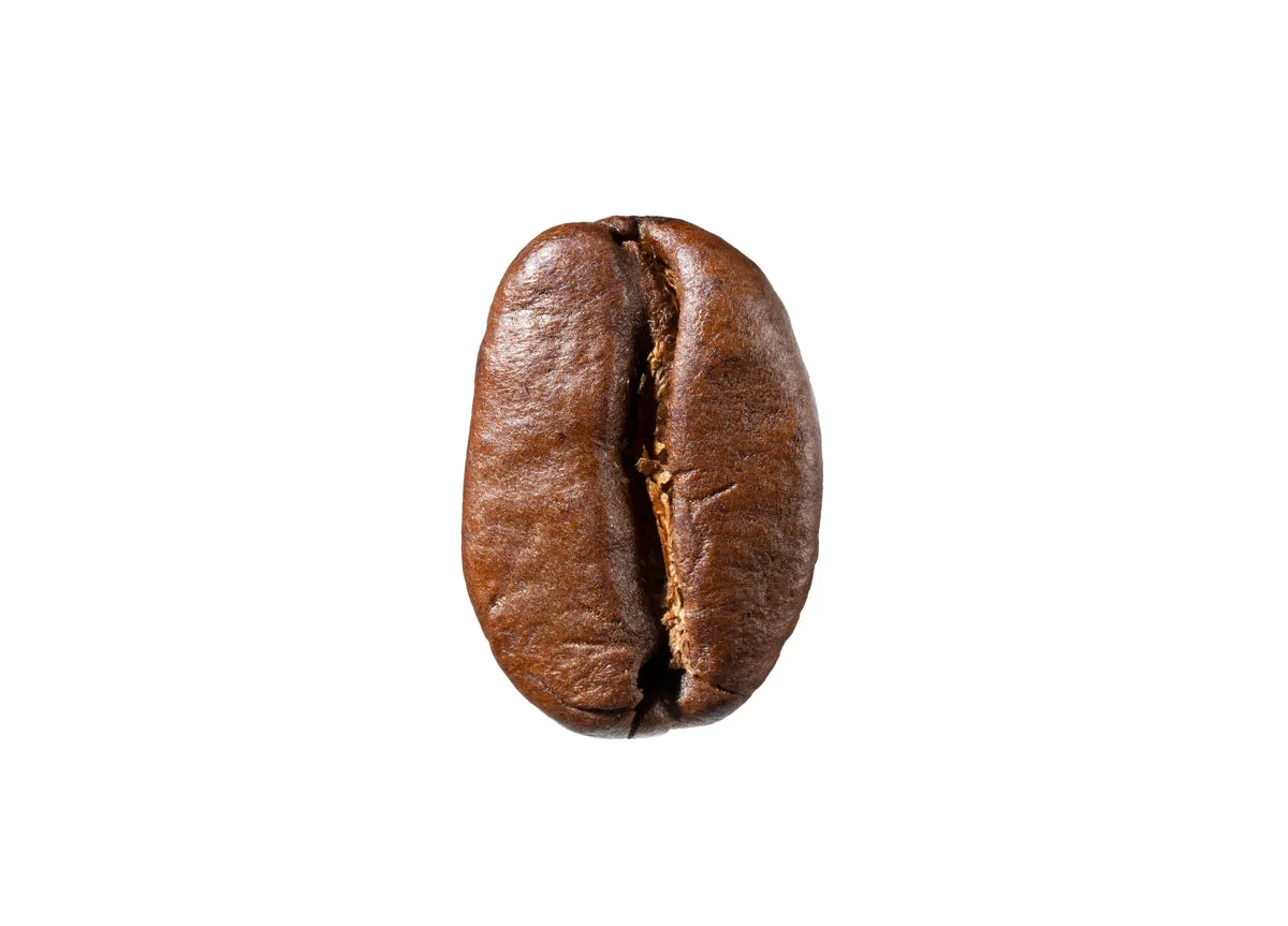 Daily Espresso