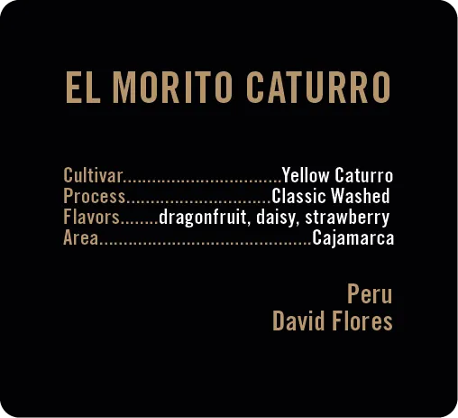 El Morito Yellow Caturro