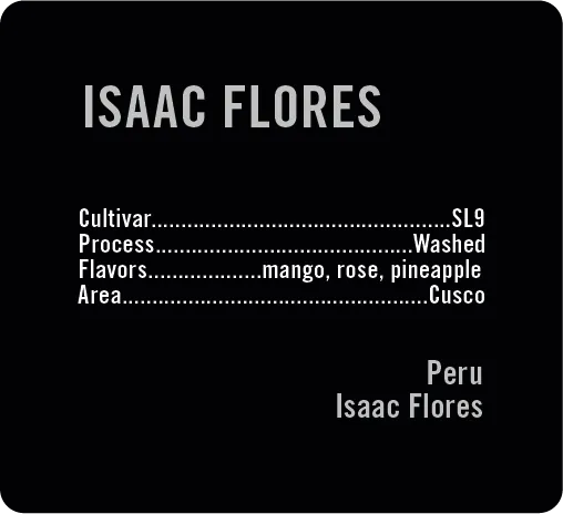 Issac Flores SL9