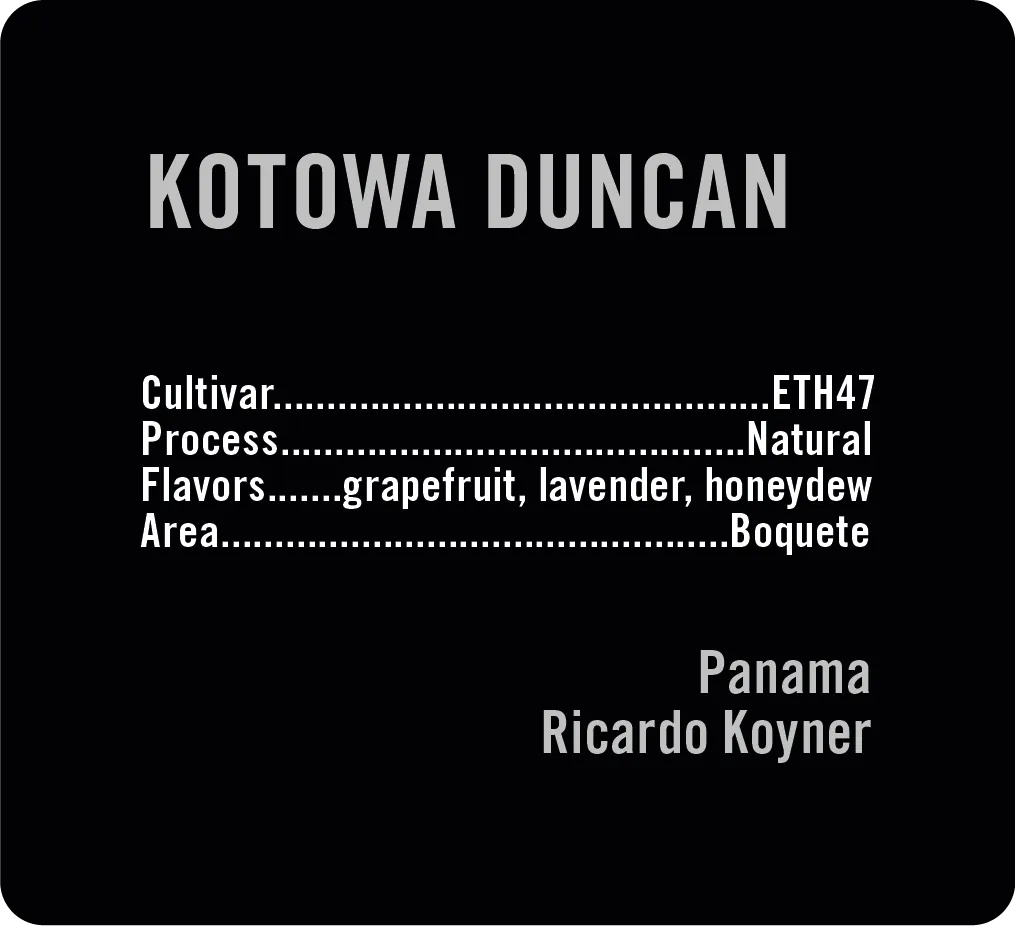 Kotowa Duncan ETH47