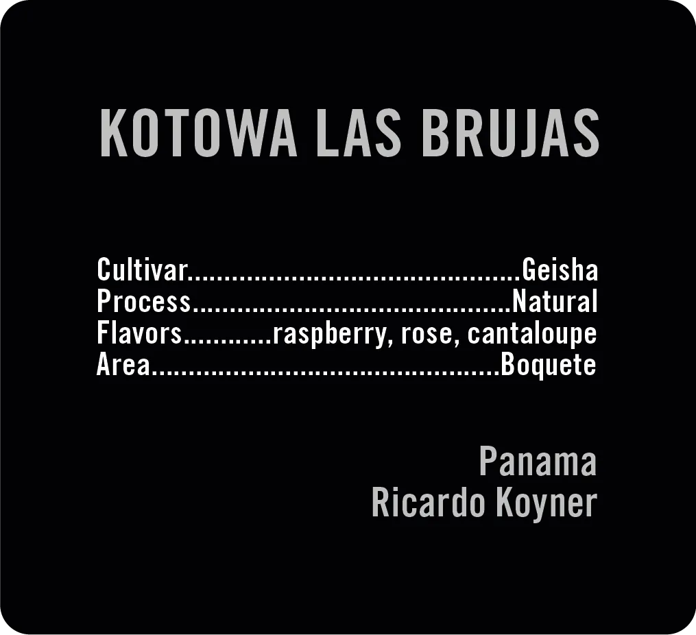 Kotowa Las Brujas Geisha