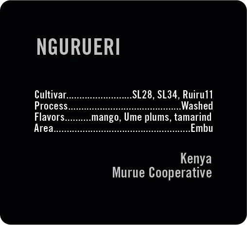 Ngurueri