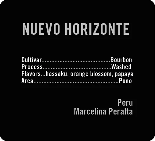 Nuevo Horizonte