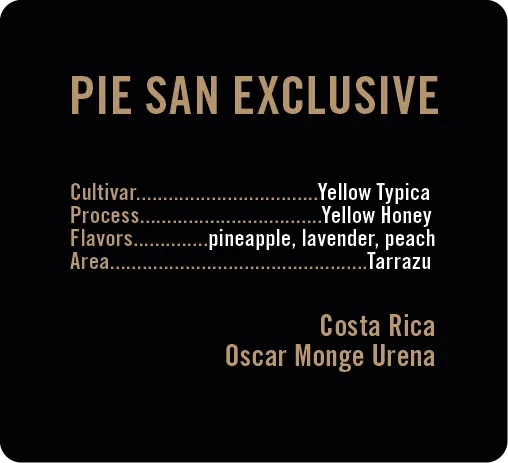 Pie San Exclusive lot