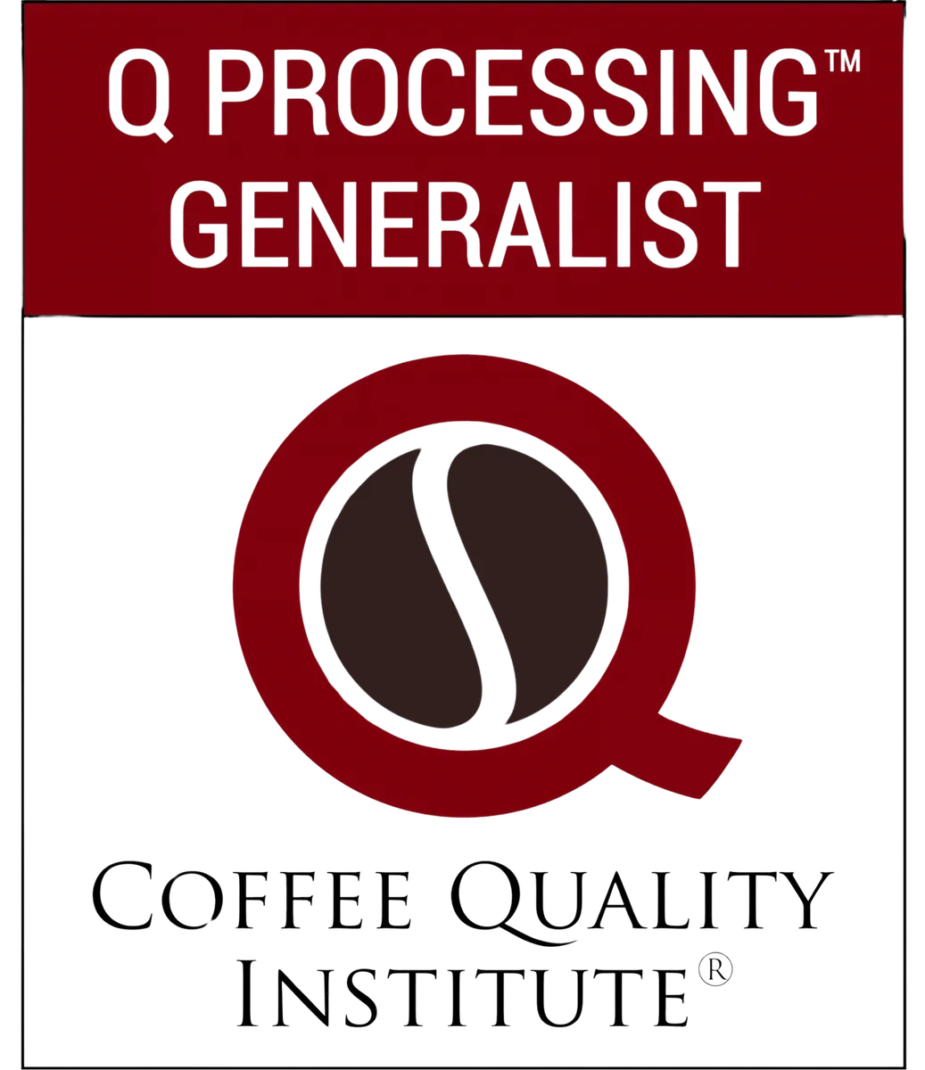 CQI - Q Processing Level 1: The Generalist