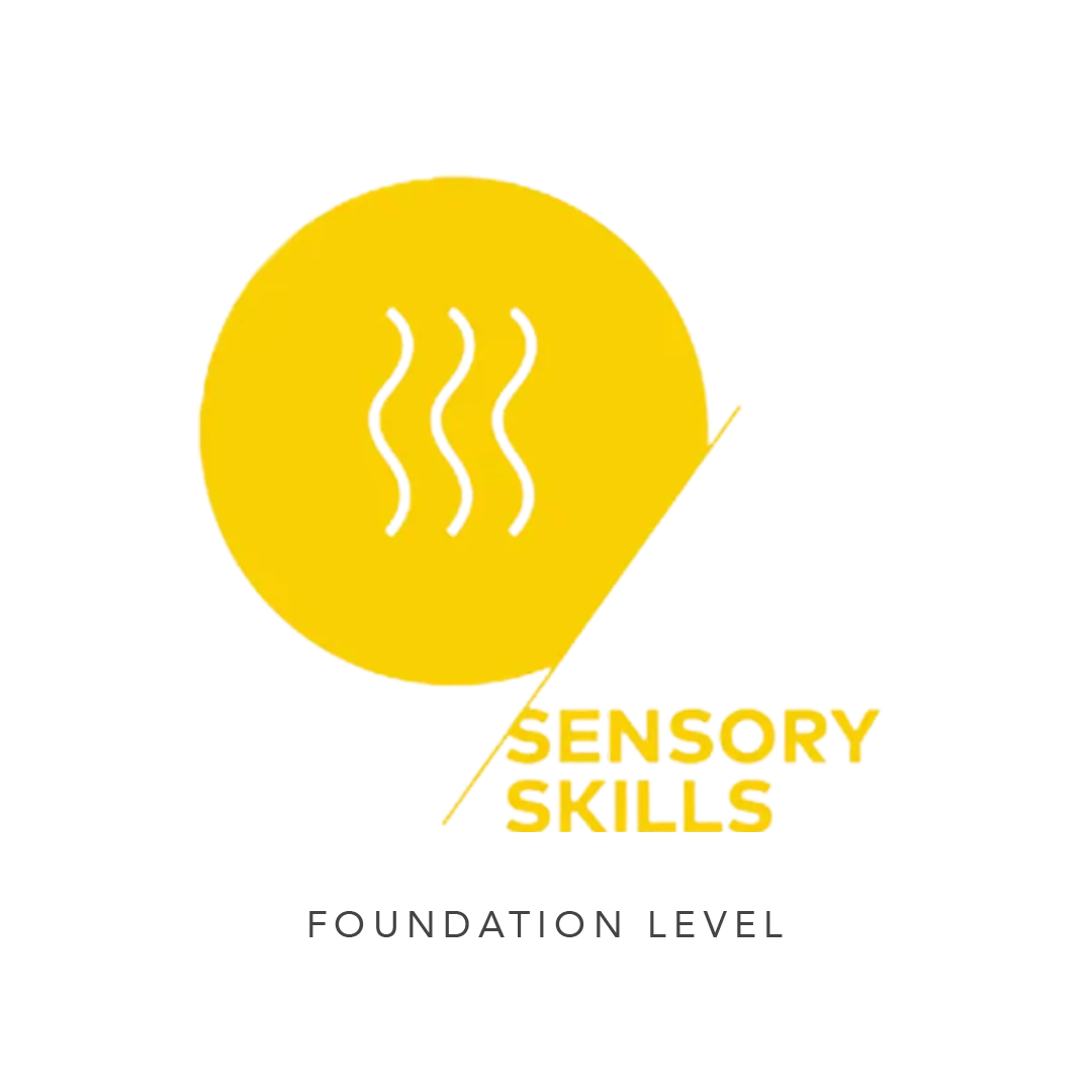 SCA Sensory Skills Foundation