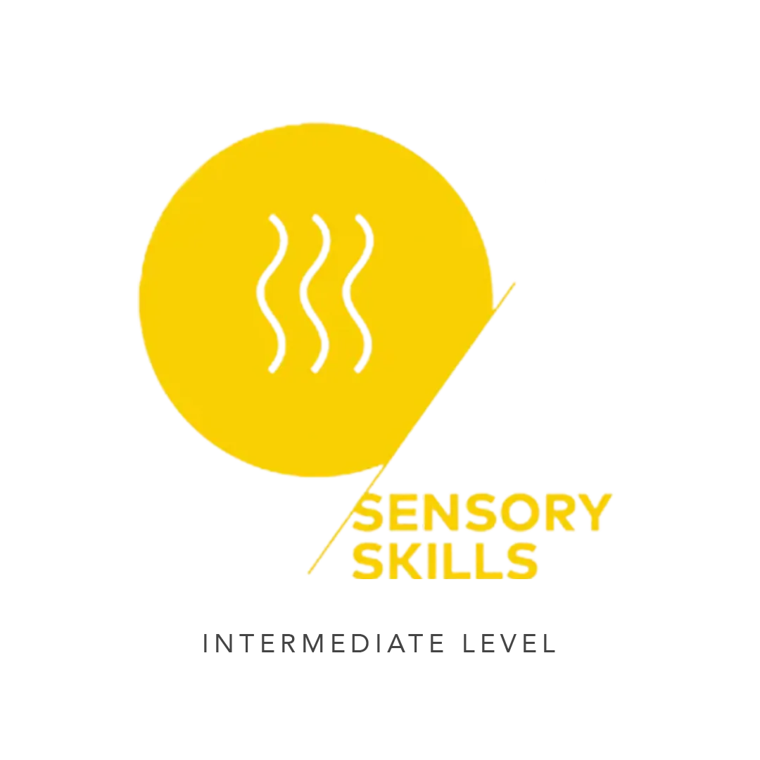 SCA Sensory Skills Intermediate