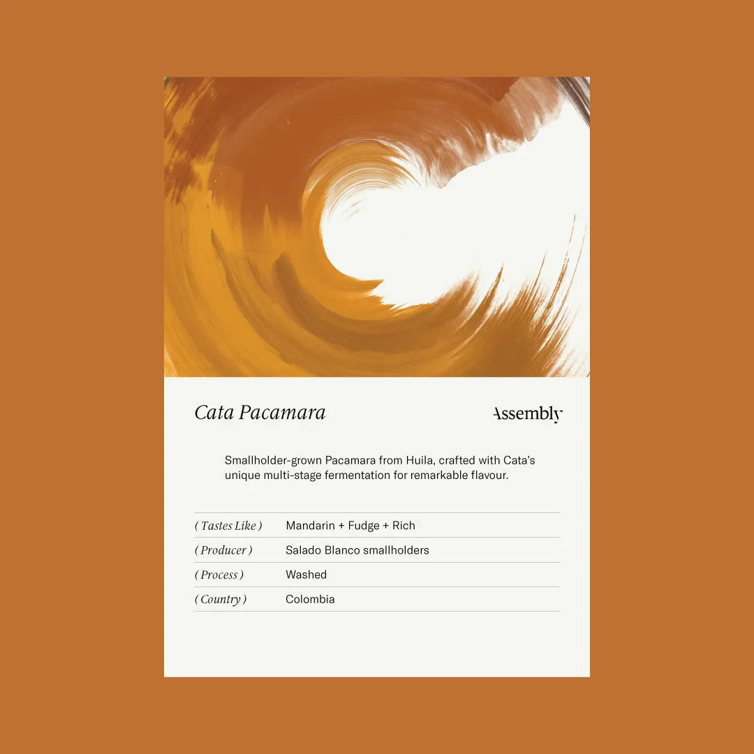 Colombia — Cata Pacamara Taste Card