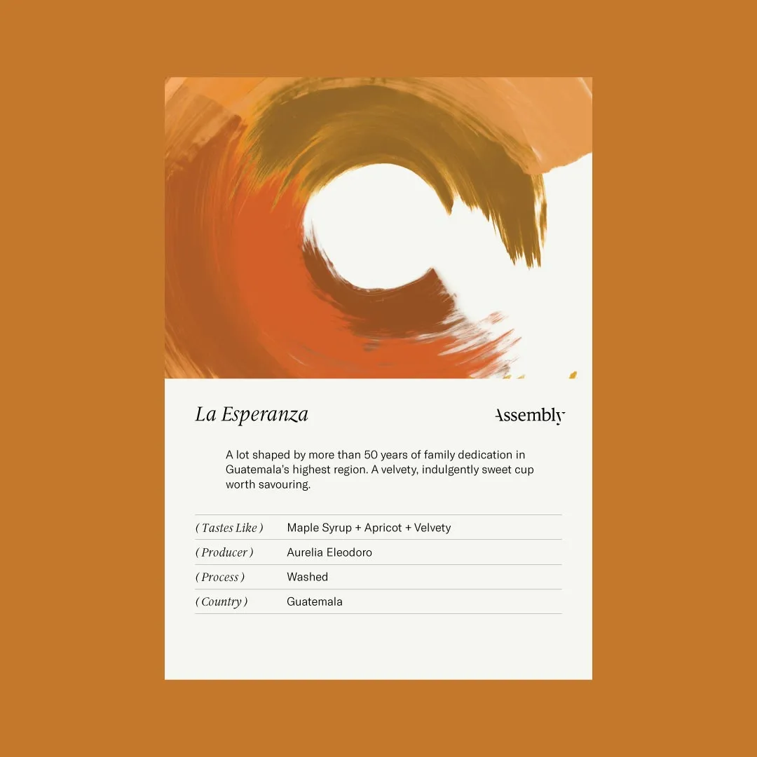 Guatemala — La Esperanza Taste Card