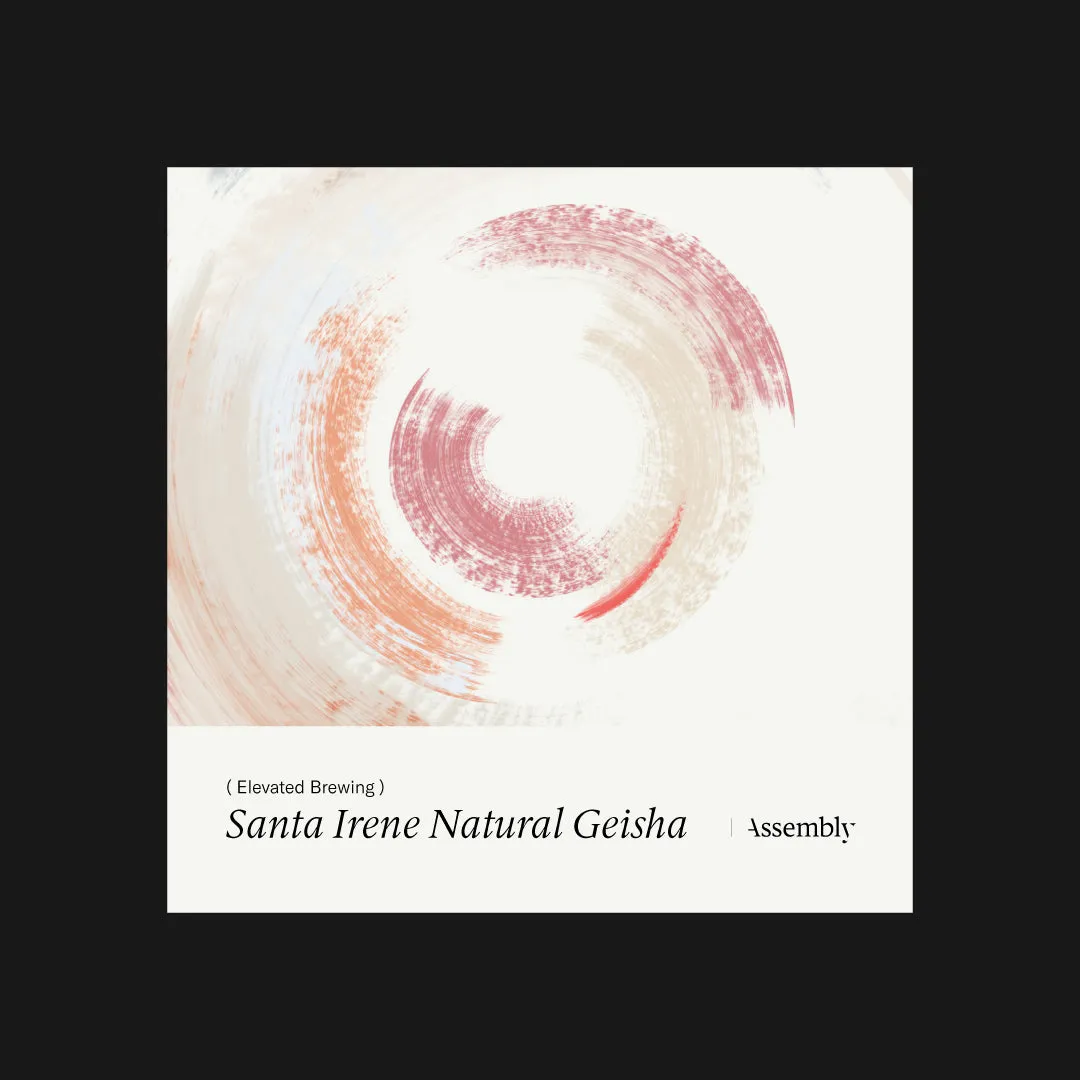Elevated Brewing : Guatemala - Santa Irene Natural Geisha - Taste Card