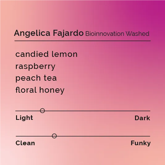 Angelica Fajardo - Bioinnovation Washed
