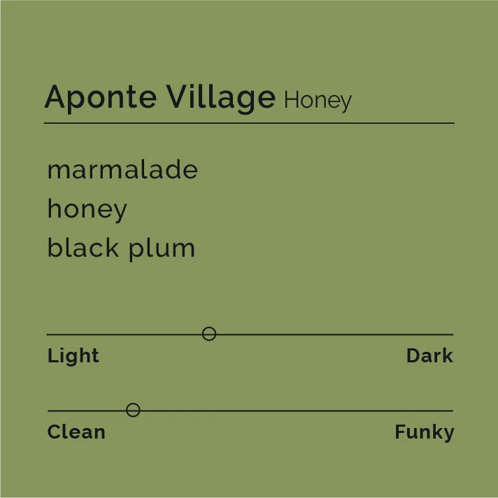Aponte Village - Honey