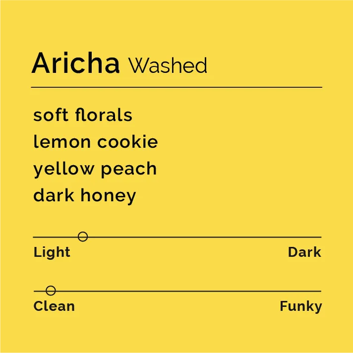 Aricha - Washed