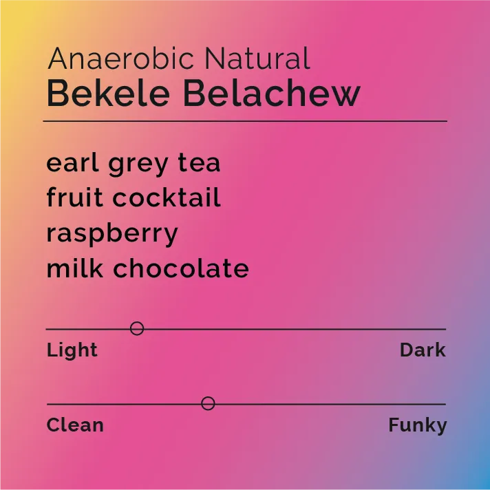 Bekele Belachew - Anaerobic Natural