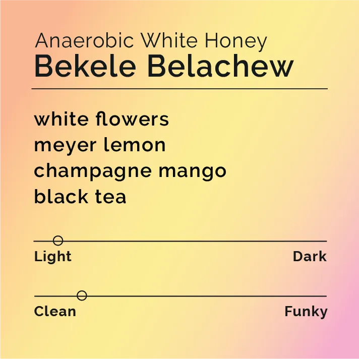 Bekele Belachew - Anaerobic White Honey