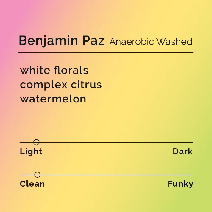Benjamin Paz - Anaerobic Washed