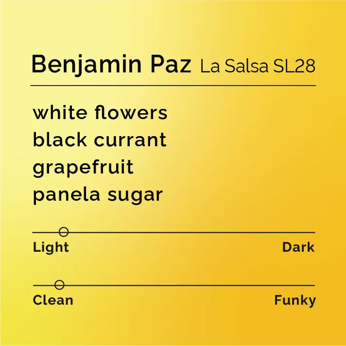 Benjamin Paz - La Salsa SL28