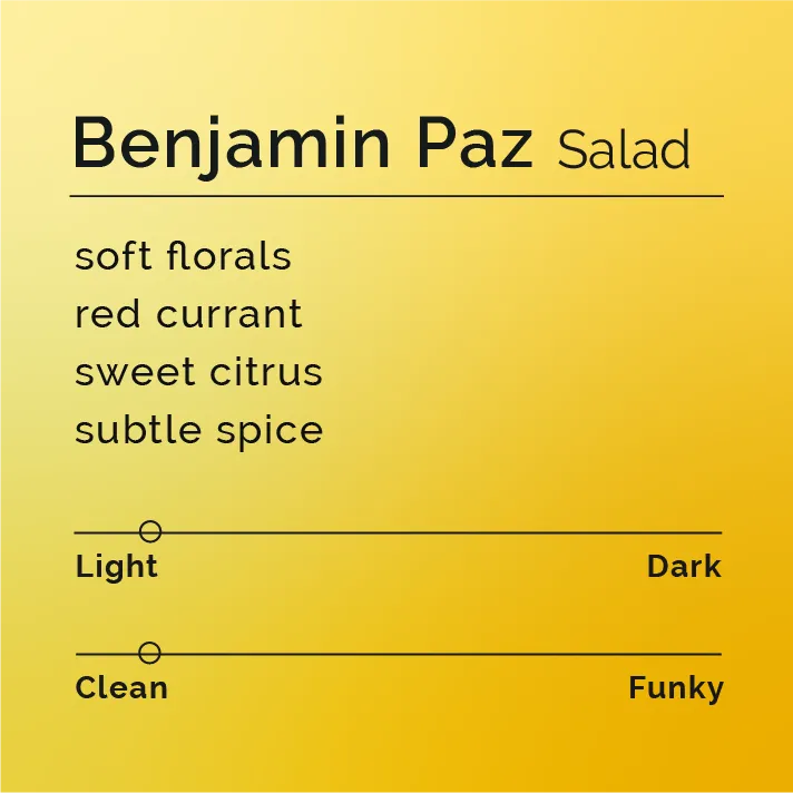 Benjamin Paz - Salad