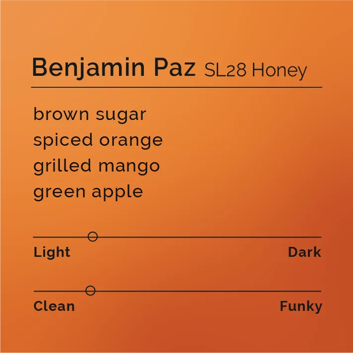 Benjamin Paz - SL28 Honey