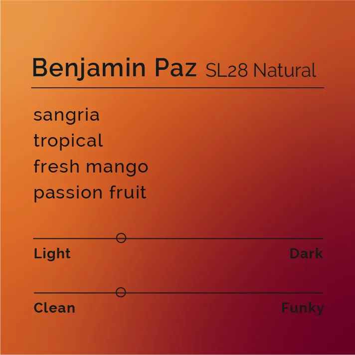 Benjamin Paz - SL28 Natural