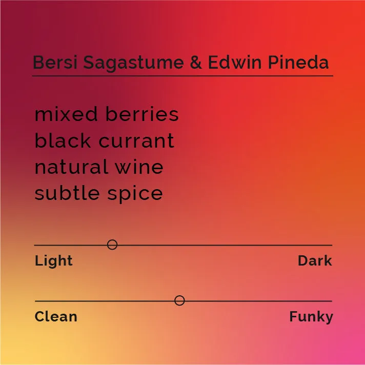 Bersi Sagastume and Edwin Pineda - Natural SL 28