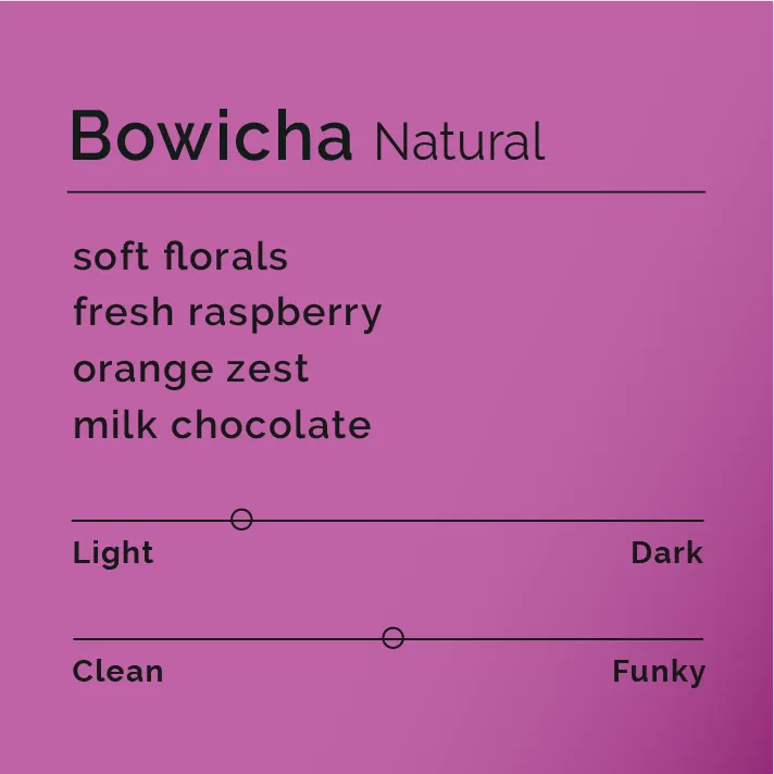 Bowicha - Natural
