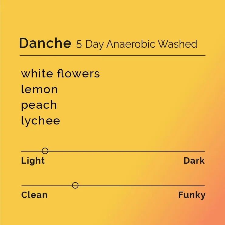 Danche - 5 Day Anaerobic Washed