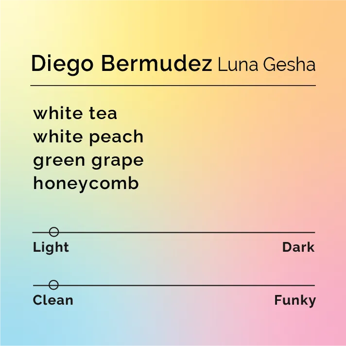 Diego Bermudez - Luna Gesha