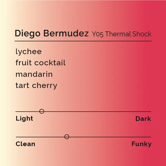 Diego Bermudez - Y05 Thermal Shock