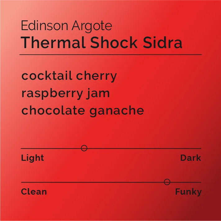 Edinson Argote - Thermal Shock Sidra