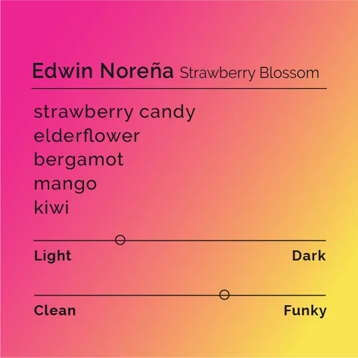 Edwin Noreña - Strawberry Blossom