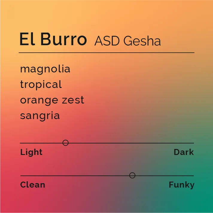 El Burro - ASD Gesha