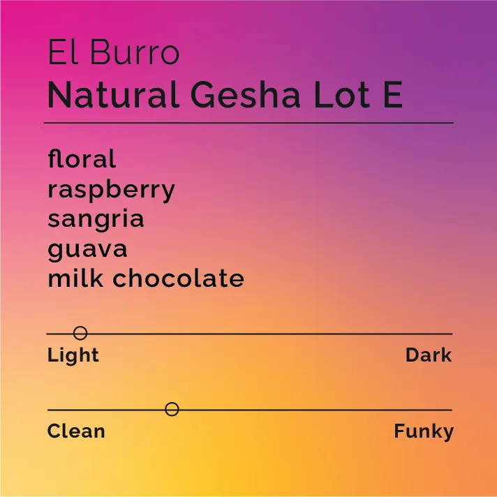 El Burro - Natural Gesha Lot E
