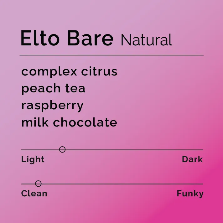 Elto Bare - Natural