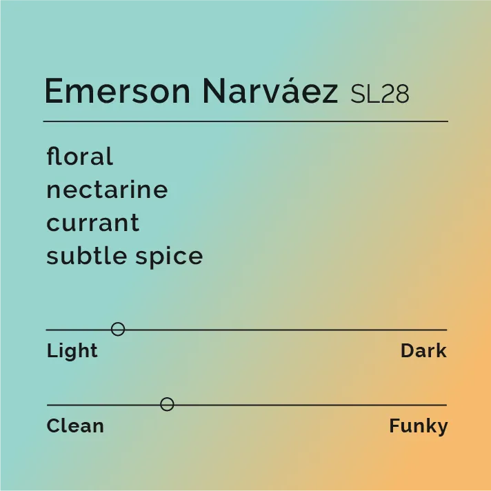 Emerson Narváez - SL28