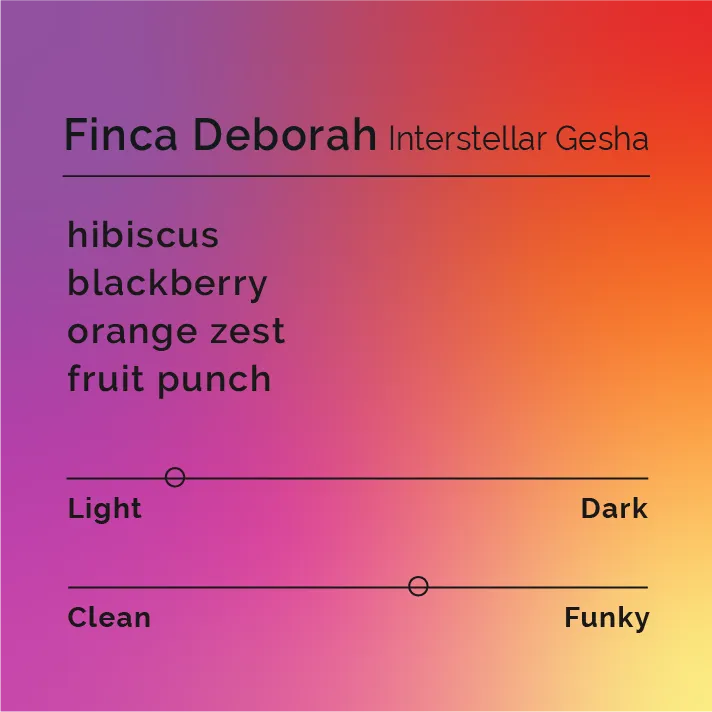 Finca Deborah - Interstellar Gesha