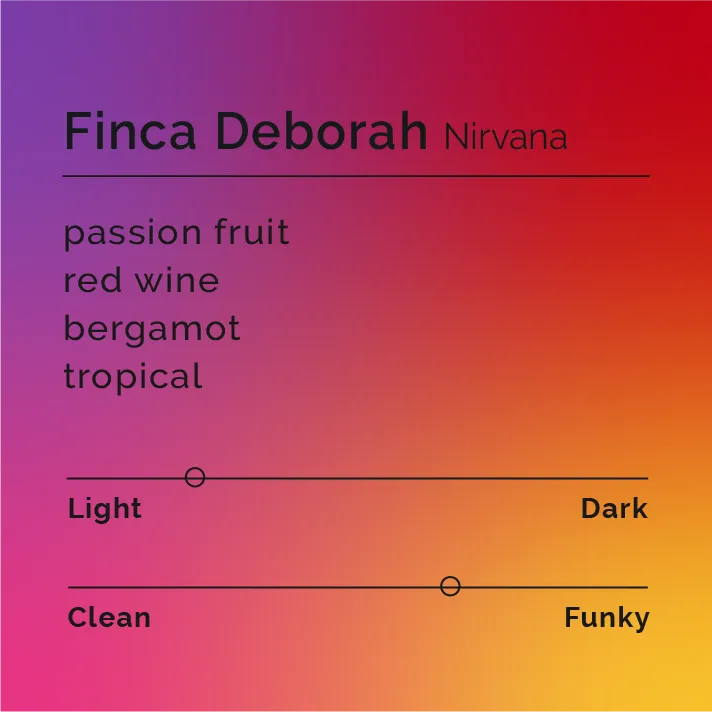 Finca Deborah - Nirvana