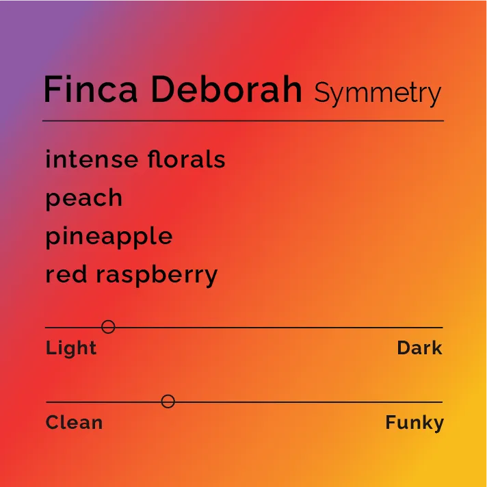 Finca Deborah - Symmetry