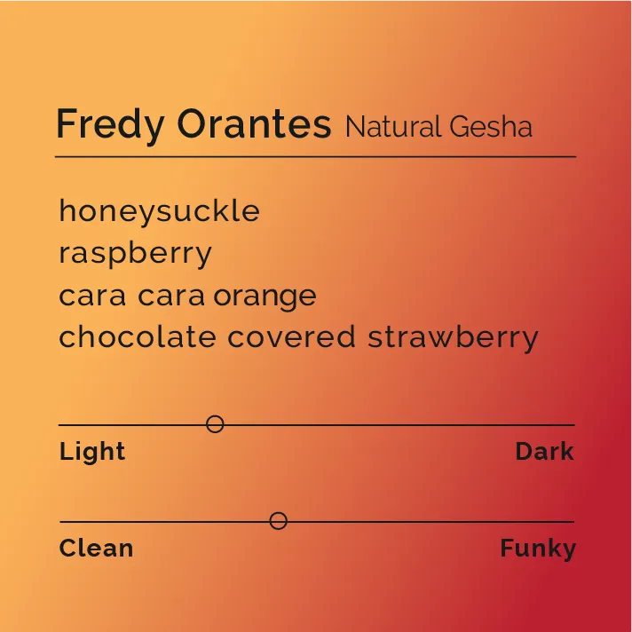 Fredy Orantes - Natural Gesha