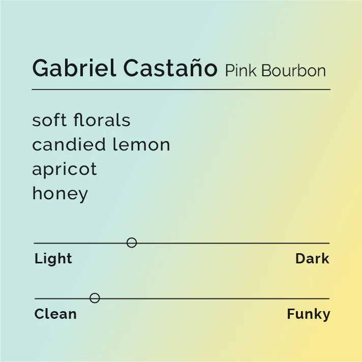 Gabriel Castaño - Pink Bourbon