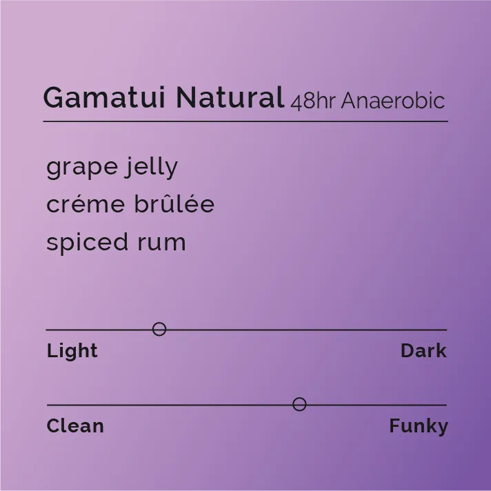 Gamatui Natural - 48hr Anaerobic
