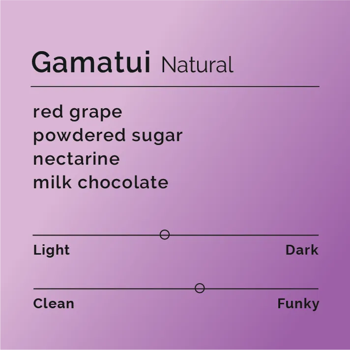 Gamatui - Natural