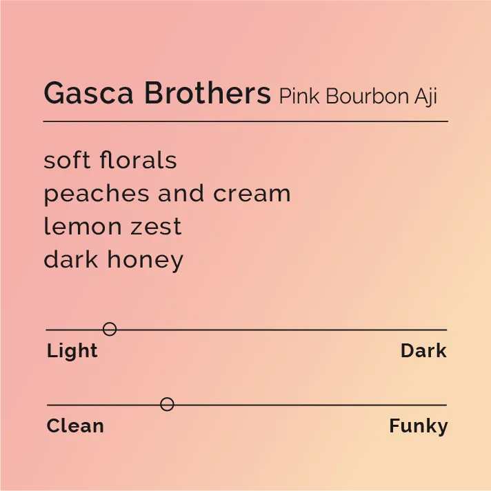 Gasca Brothers - Pink Bourbon Aji