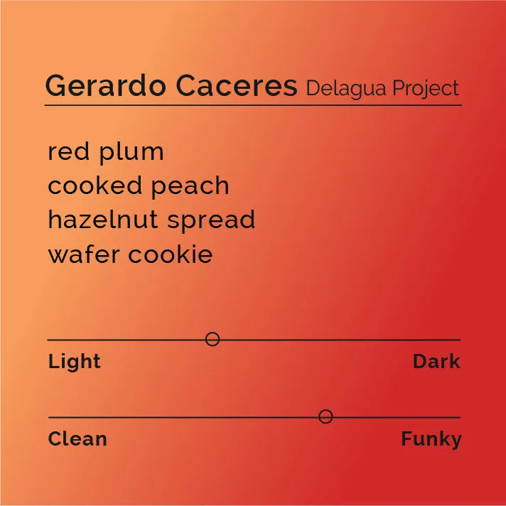Gerardo Caceres - Delagua Project