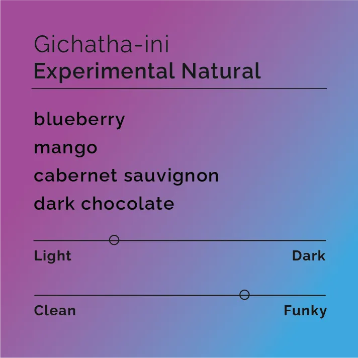 Gichatha-ini - Experimental Natural