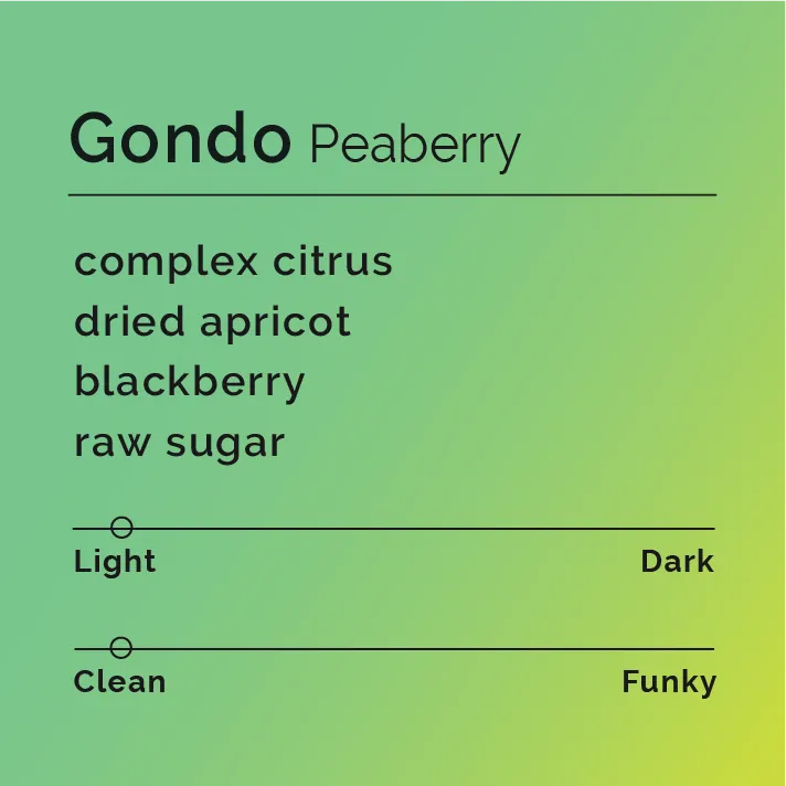 Gondo - Peaberry