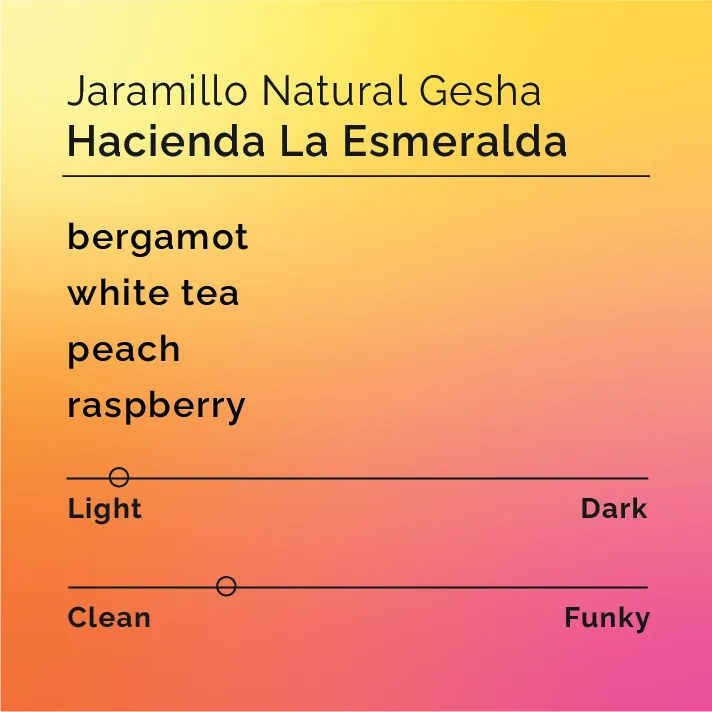 Hacienda La Esmeralda - Jaramillo Natural Gesha