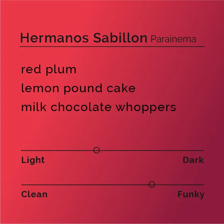 Hermanos Sabillon - Parainema Natural