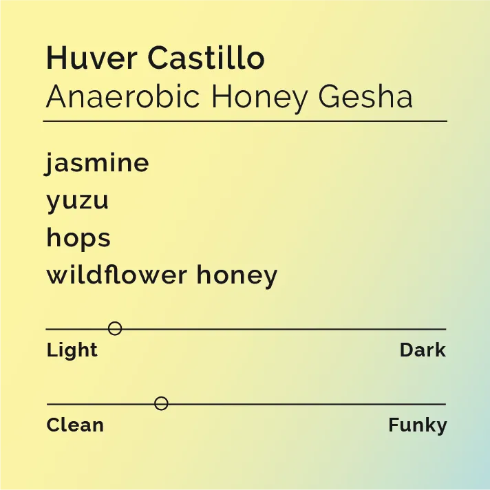 Huver Castillo - Anaerobic Honey Gesha