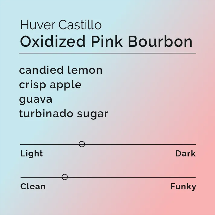 Huver Castillo - Oxidized Pink Bourbon